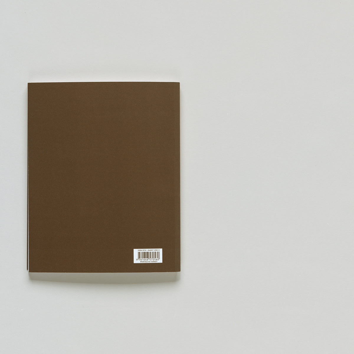 Ed Levine: The Embodied Experience of Art