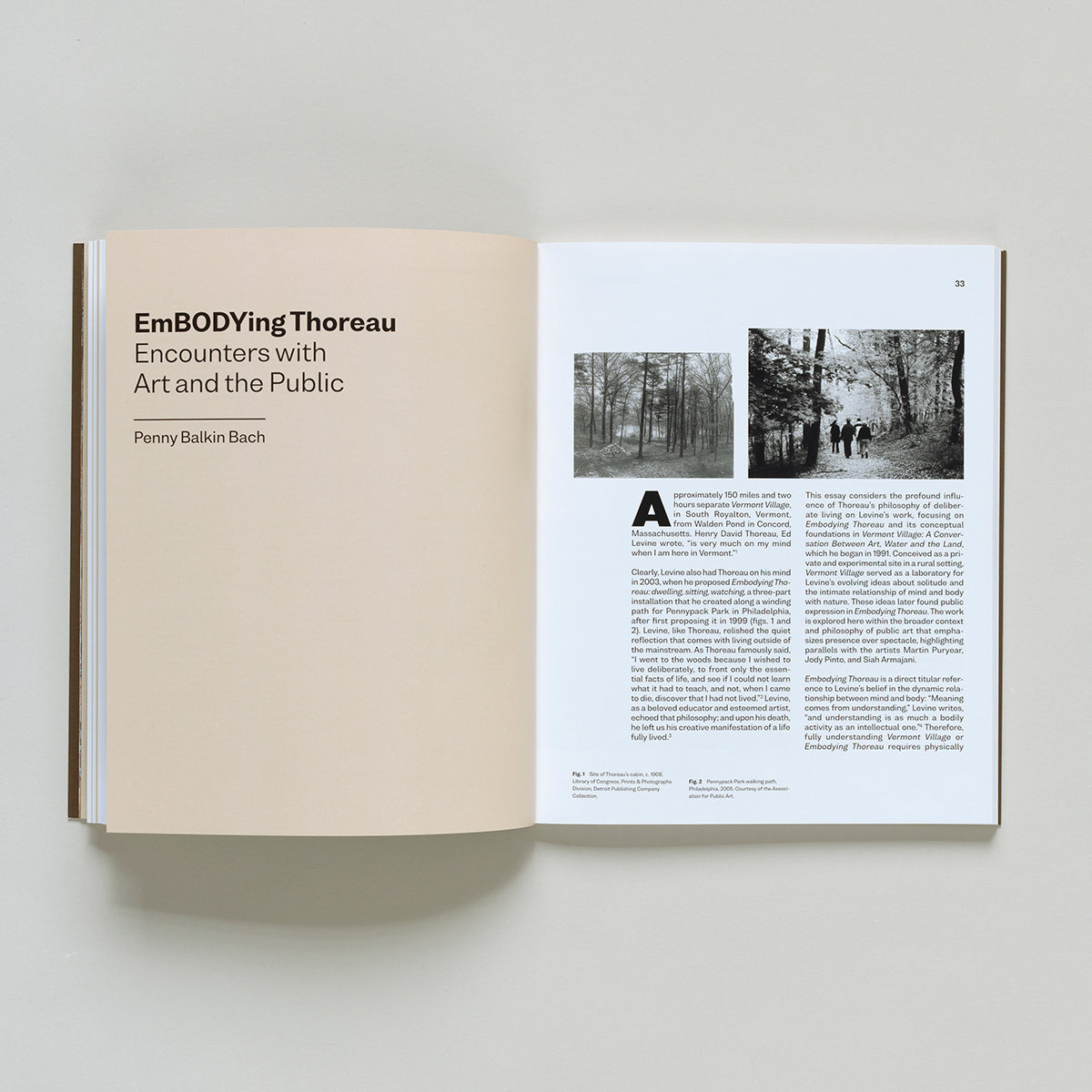 Ed Levine: The Embodied Experience of Art