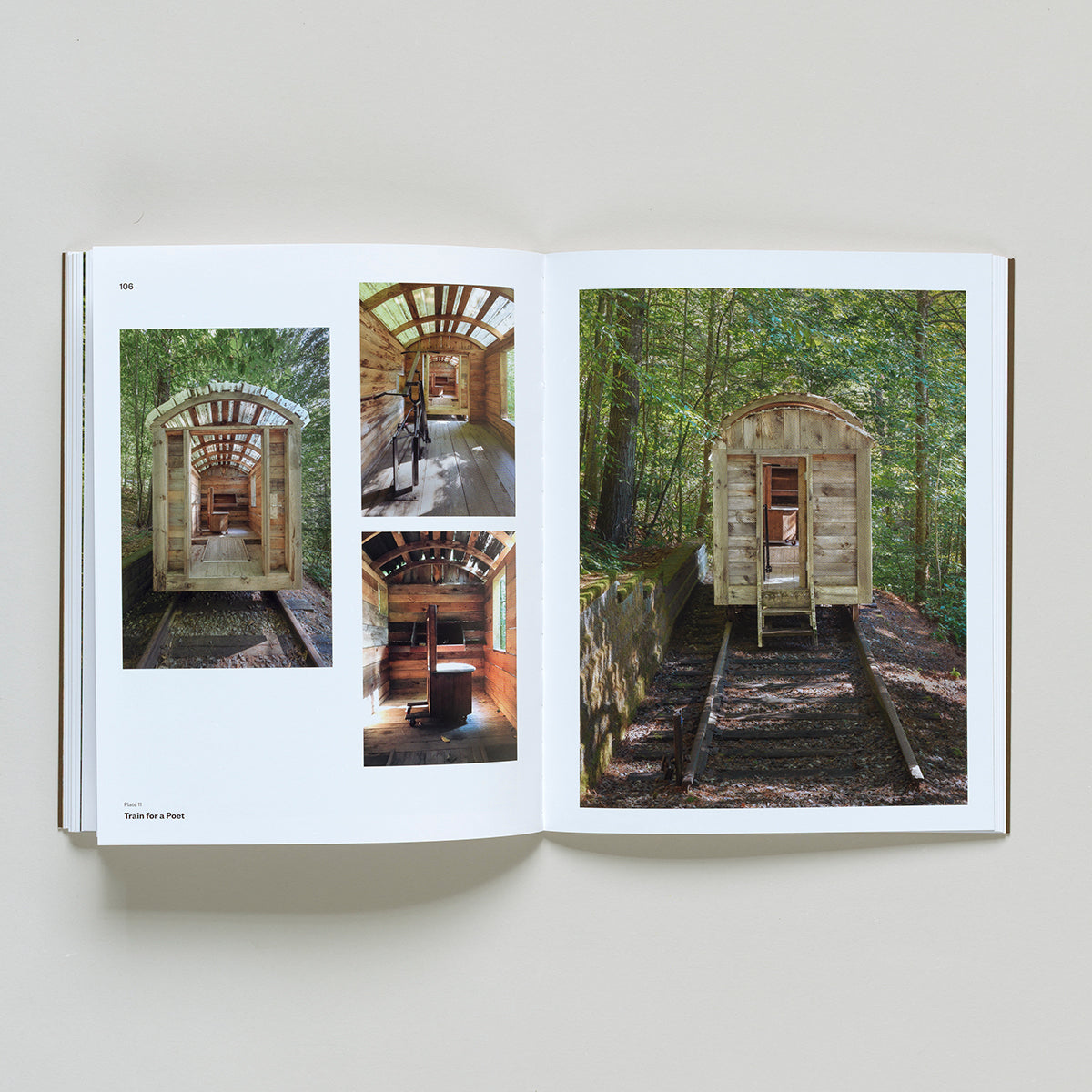Ed Levine: The Embodied Experience of Art