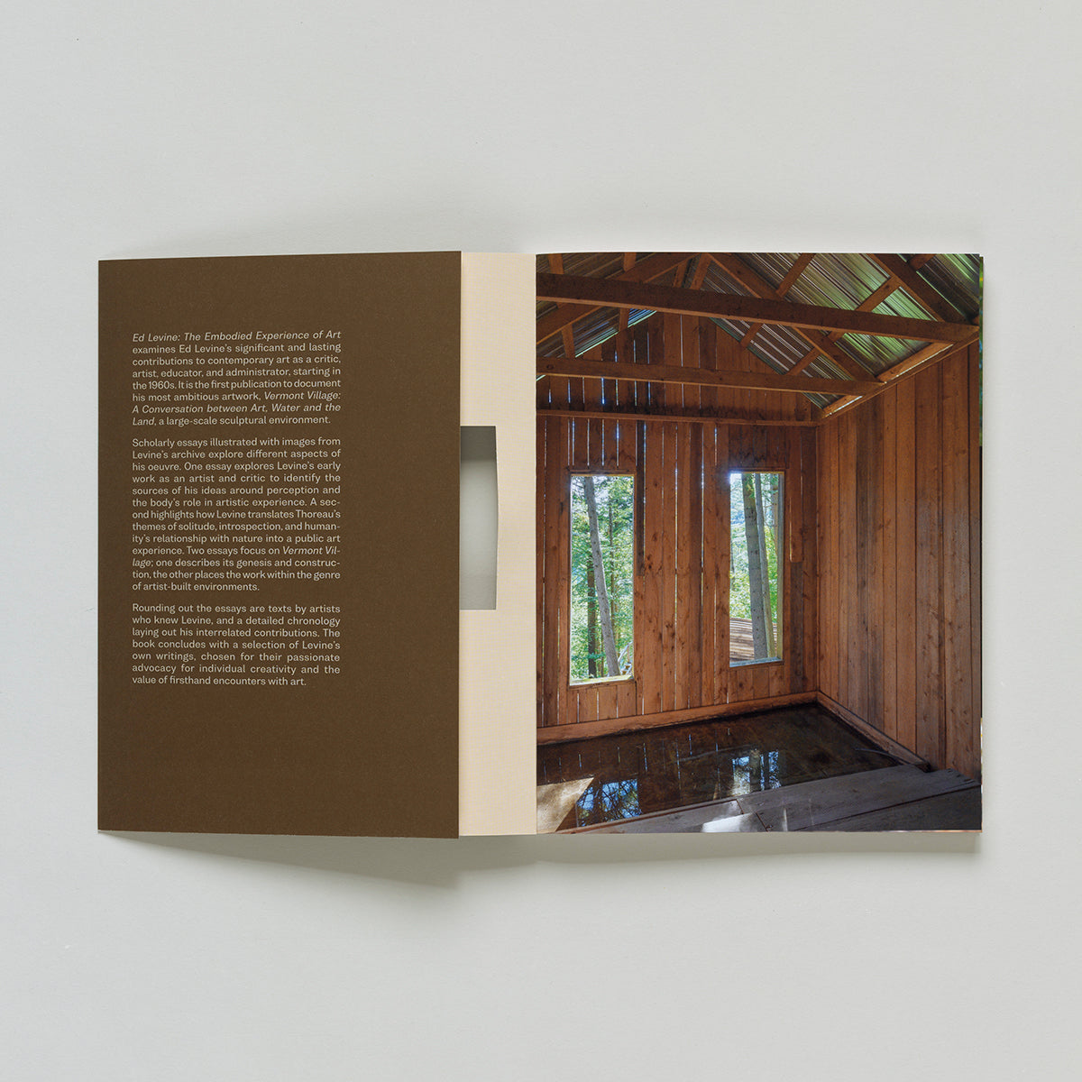 Ed Levine: The Embodied Experience of Art