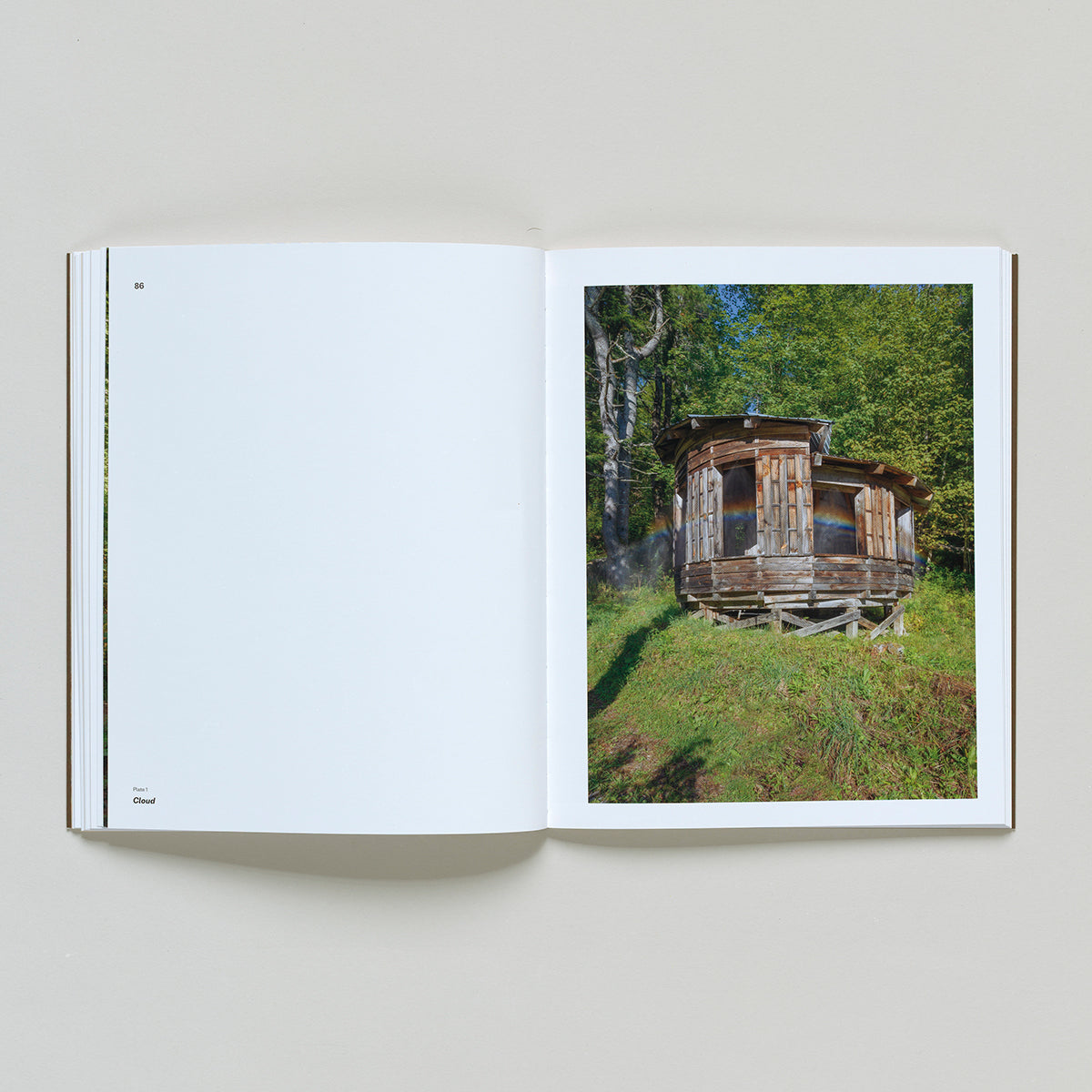 Ed Levine: The Embodied Experience of Art