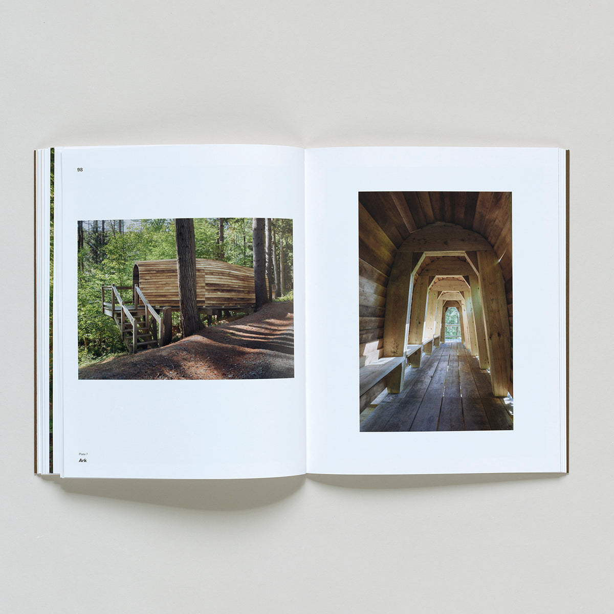 Ed Levine: The Embodied Experience of Art