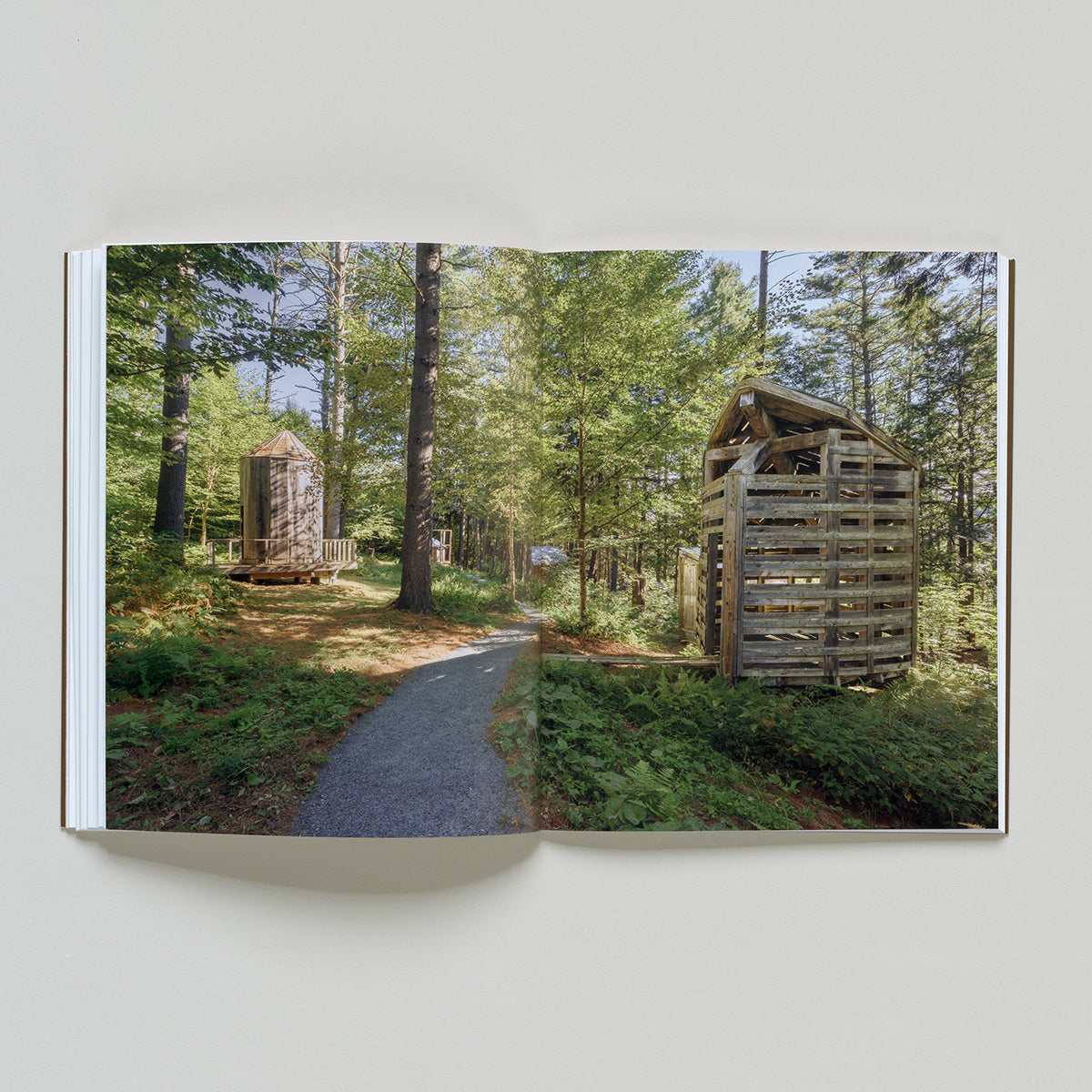 Ed Levine: The Embodied Experience of Art